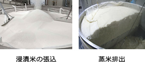 蒸米装置